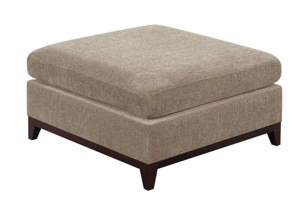 Taiyus Ottoman in Camel