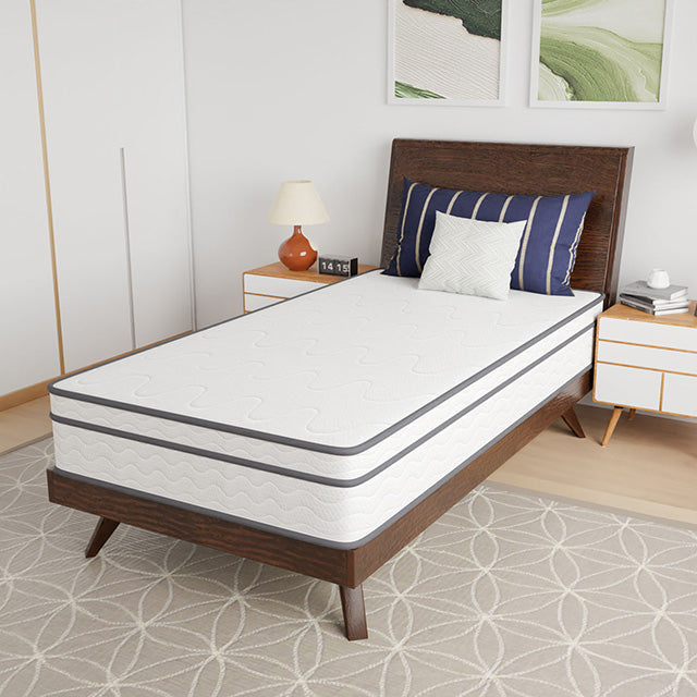 Catmint 10" Twin Innerspring Mattress