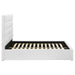Felicity Beds - California Furniture (Coachella, CA)
