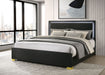 Marceline Panel Bed with LED Lighting - California Furniture (Coachella, CA)