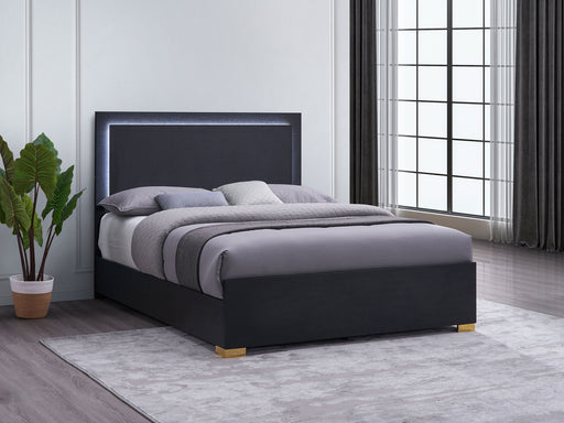 Marceline Panel Bed with LED Lighting - California Furniture (Coachella, CA)