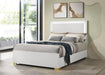 Marceline Panel Bed with LED Lighting - California Furniture (Coachella, CA)