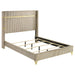 Lucia 4 & 5 Piece Bedroom Set King & Queen Beige & Grey - California Furniture (Coachella, CA)