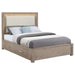Kenora California King, E.king, & Queen Bed - California Furniture (Coachella, CA)