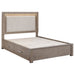 Kenora California King, E.king, & Queen Bed - California Furniture (Coachella, CA)