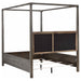 Gran Park Canopy Panel Bed - California Furniture (Coachella, CA)