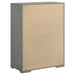 Ives 4 & 5 Piece Bedroom Set E.king & Queen White & Grey - California Furniture (Coachella, CA)