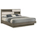 Fenwick California King, Eastren King, Queen Bed - California Furniture (Coachella, CA)