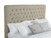 Chloe Panel Bed - California Furniture (Coachella, CA)
