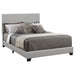 Dorian Panel Bed - California Furniture (Coachella, CA)
