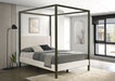 Monroe Eastern King & Queen Bed - California Furniture (Coachella, CA)