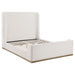 Nala Eastern King & Queen Bed - California Furniture (Coachella, CA)