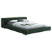 Trinity California King, E.king, Queen, & Full Bed Green & Light Taupe - California Furniture (Coachella, CA)