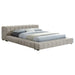 Trinity California King, E.king, Queen, & Full Bed Green & Light Taupe - California Furniture (Coachella, CA)