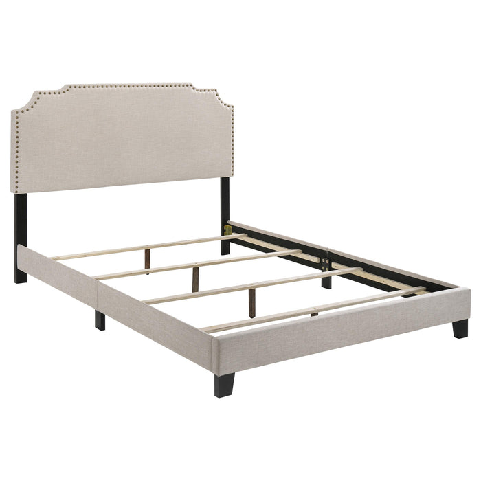 Tamarac Upholstered Nailhead Full, Eastern King & Queen Bed Beige & Grey - California Furniture (Coachella, CA)