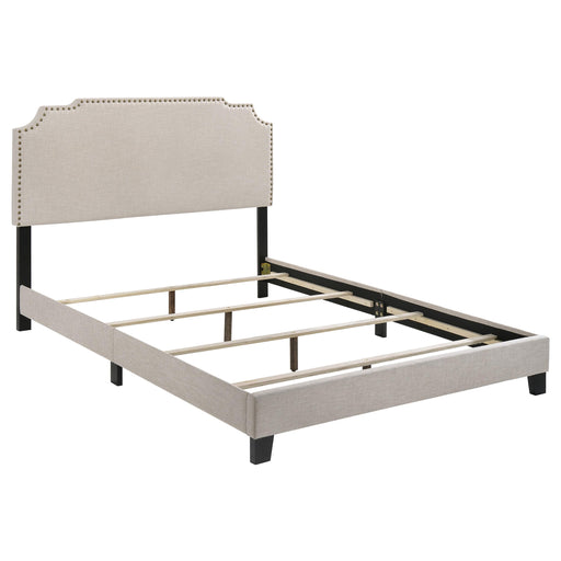 Tamarac Upholstered Nailhead Full, Eastern King & Queen Bed Beige & Grey - California Furniture (Coachella, CA)