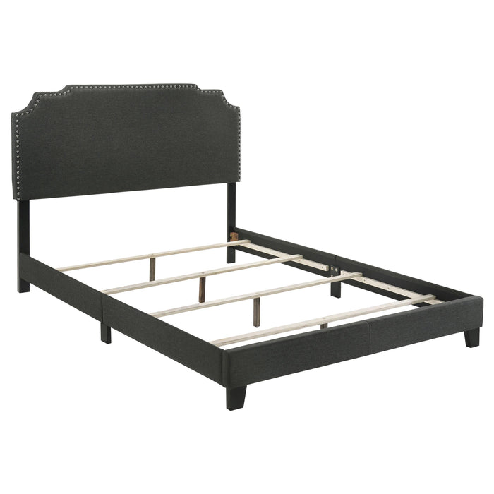 Tamarac Upholstered Nailhead Full, Eastern King & Queen Bed Beige & Grey - California Furniture (Coachella, CA)