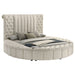 Sonya Eastern King & Queen Bed - California Furniture (Coachella, CA)