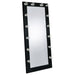 Zayan Floor Mirror with LED Lighting - California Furniture (Coachella, CA)