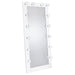 Zayan Floor Mirror with LED Lighting - California Furniture (Coachella, CA)