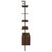 Owens 96-inch 4-shelf Storage Wall Bookshelf Walnut - California Furniture (Coachella, CA)