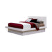 Jessica California King, E.king, & Queen Bed with Storage Headboard Cappuccino - California Furniture (Coachella, CA)