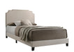 Tamarac Upholstered Nailhead Full, Eastern King & Queen Bed Beige & Grey - California Furniture (Coachella, CA)