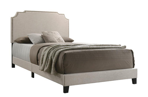 Tamarac Upholstered Nailhead Full, Eastern King & Queen Bed Beige & Grey - California Furniture (Coachella, CA)
