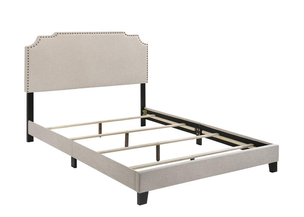 Tamarac Upholstered Nailhead Full, Eastern King & Queen Bed Beige & Grey - California Furniture (Coachella, CA)