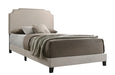 Tamarac Upholstered Nailhead Full, Eastern King & Queen Bed Beige & Grey - California Furniture (Coachella, CA)