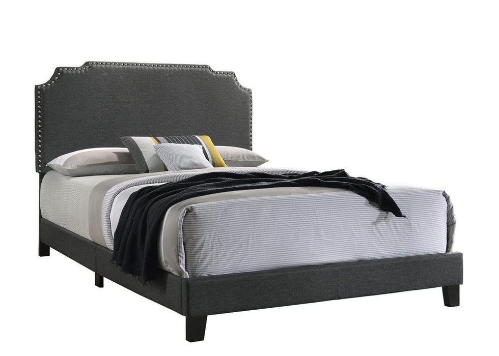 Tamarac Upholstered Nailhead Full, Eastern King & Queen Bed Beige & Grey - California Furniture (Coachella, CA)