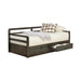 Sorrento 2-drawer Twin XL Daybed with Extension Trundle Grey - California Furniture (Coachella, CA)
