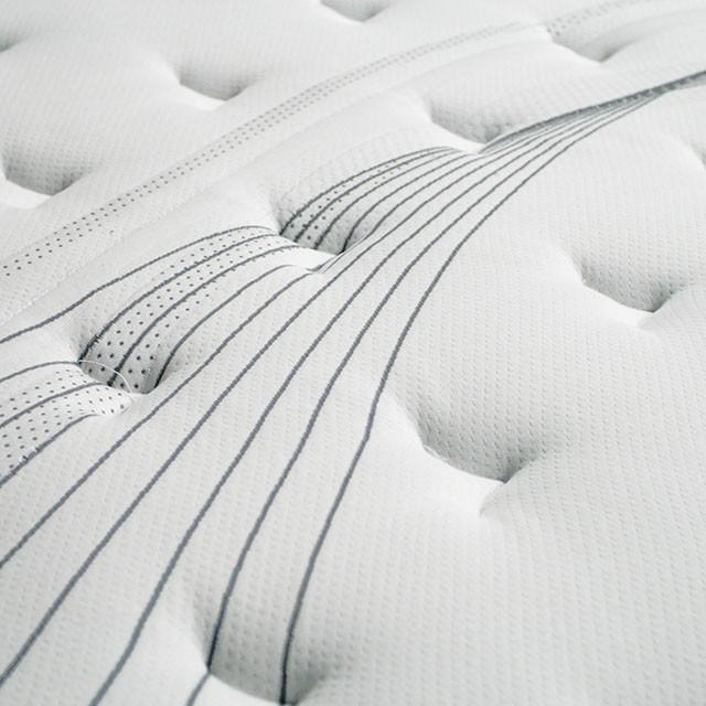 AFTON White/Gray 12" Euro Box Pocket Coil, Cal.King, E king, Full, & Queen - California Furniture (Coachella, CA)