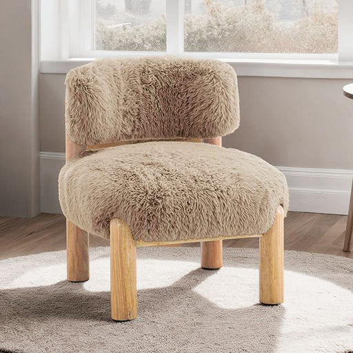 Alcoba Accent Chair - California Furniture (Coachella, CA)