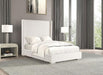 Cadwell E.King, Queen, & Full Bed White, Gray, & Black - California Furniture (Coachella, CA)