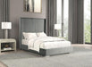 Cadwell Bed Black, Grey, Pink & White - California Furniture (Coachella, CA)