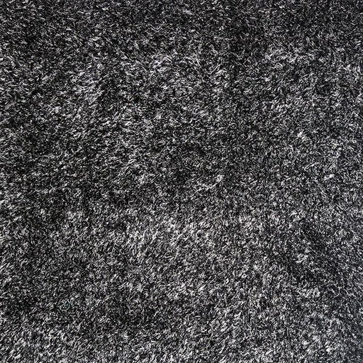 Annmarie Black 5' X 8' Area Rug - California Furniture (Coachella, CA)