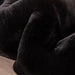 Caparica Black Throw, Black - California Furniture (Coachella, CA)