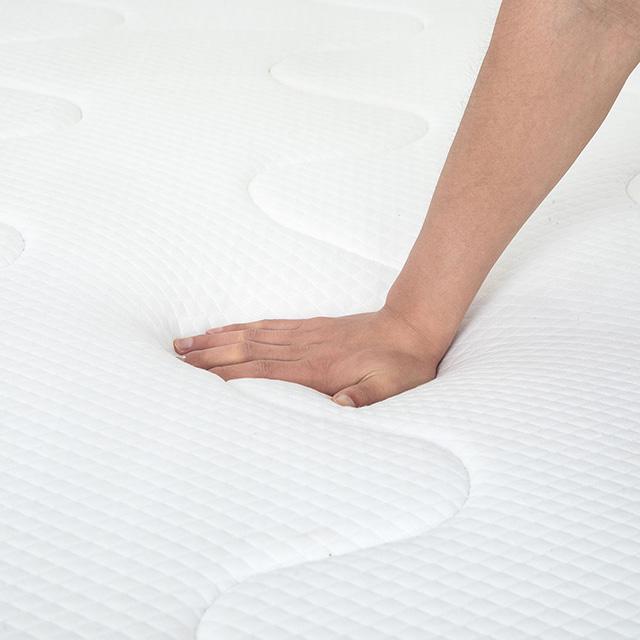 Catmint 10" Twin Innerspring Mattress - California Furniture (Coachella, CA)
