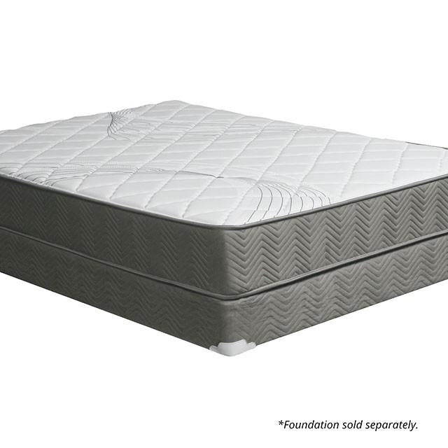 EDREA White/Gray 10" Tight Top Pocket Coil, Queen - California Furniture (Coachella, CA)