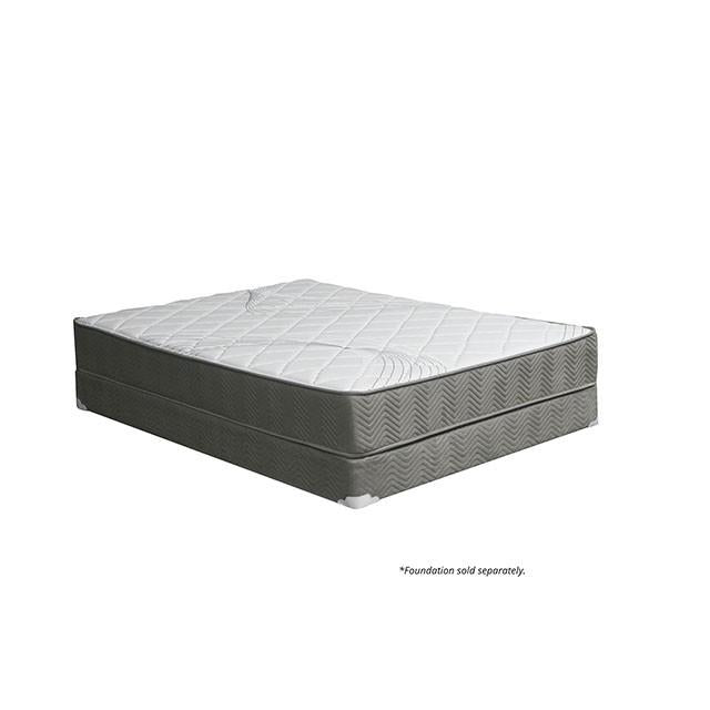 EDREA White/Gray 10" Tight Top Pocket Coil, Queen - California Furniture (Coachella, CA)