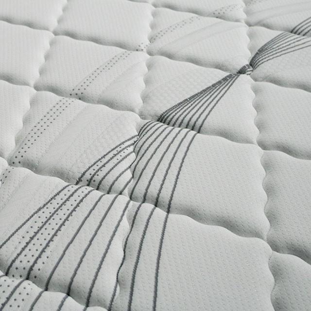 EDREA White/Gray 10" Tight Top Pocket Coil, Queen - California Furniture (Coachella, CA)