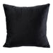 EVADNE Chair w/ Pillow, Black - California Furniture (Coachella, CA)