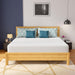 Coreopsis 12" E.King Memory Foam Wave Comfort - California Furniture (Coachella, CA)