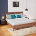 Coreopsis 8" E.King Memory Foam Wave Comfort - California Furniture (Coachella, CA)