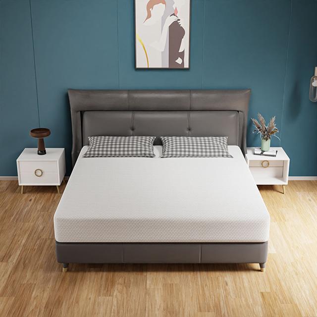 Forsythia 10" Queen Green Tea Gel Memory Foam - California Furniture (Coachella, CA)