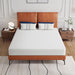 Forsythia 8" Queen Green Tea Gel Memory Foam - California Furniture (Coachella, CA)