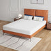 Forsythia 8" Queen Green Tea Gel Memory Foam - California Furniture (Coachella, CA)