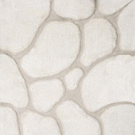 Frederiction Ivory 5' X 8' Area Rug - California Furniture (Coachella, CA)
