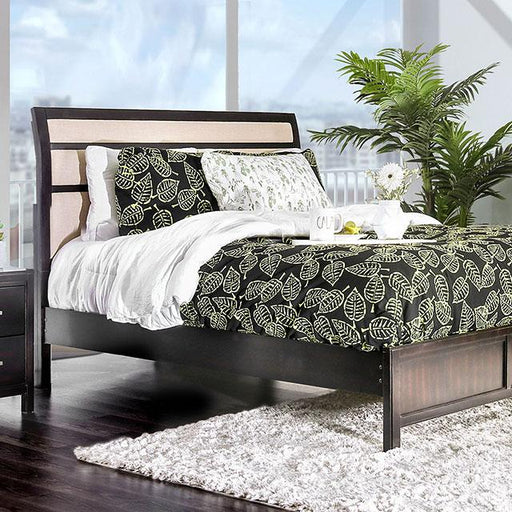 Berenice Bed Purple Brown - California Furniture (Coachella, CA)